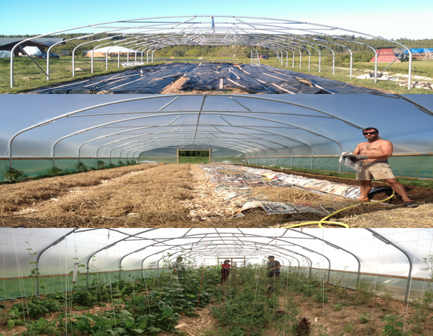 Setting up a Permaculture farm - RIDGEDALE FARM AB